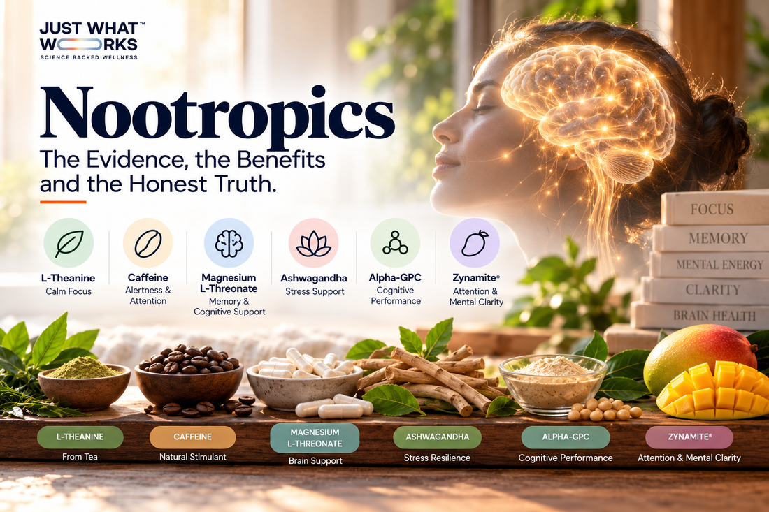 Nootropics guide featuring L-theanine, caffeine, magnesium L-threonate, ashwagandha, Alpha-GPC, and Zynamite, with a glowing brain and natural ingredient imagery.
