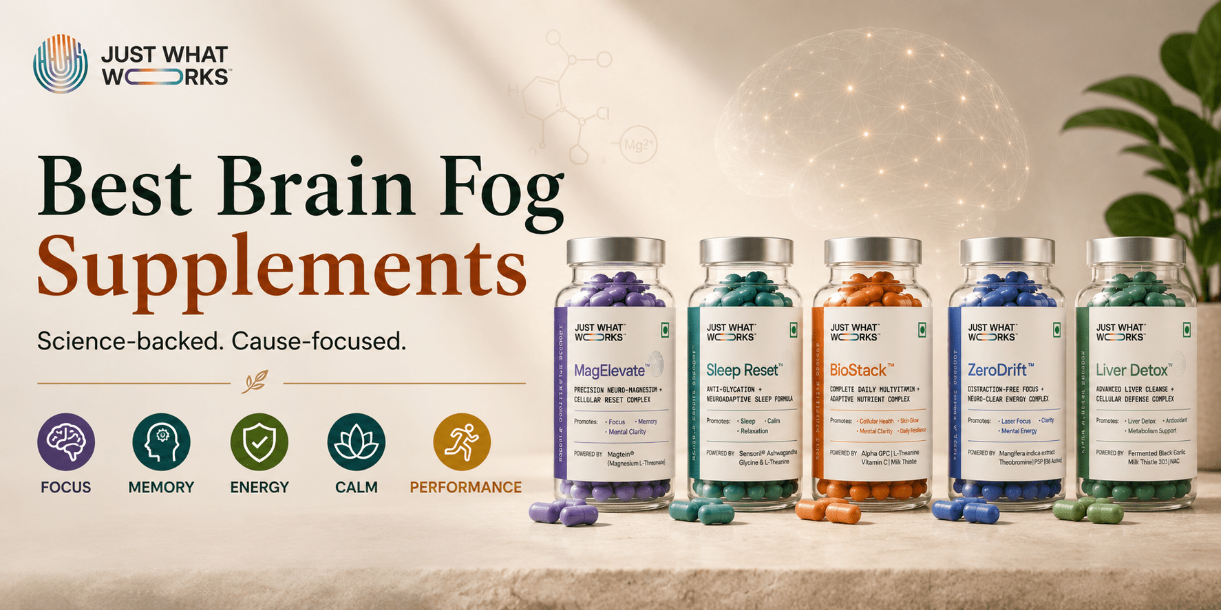 Best Supplements for Brain Fog in India: What Actually Works - Just What Works™