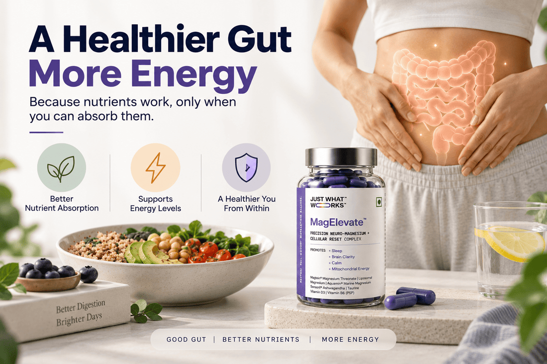 Gut Health and Energy: The Absorption Connection - Just What Works™