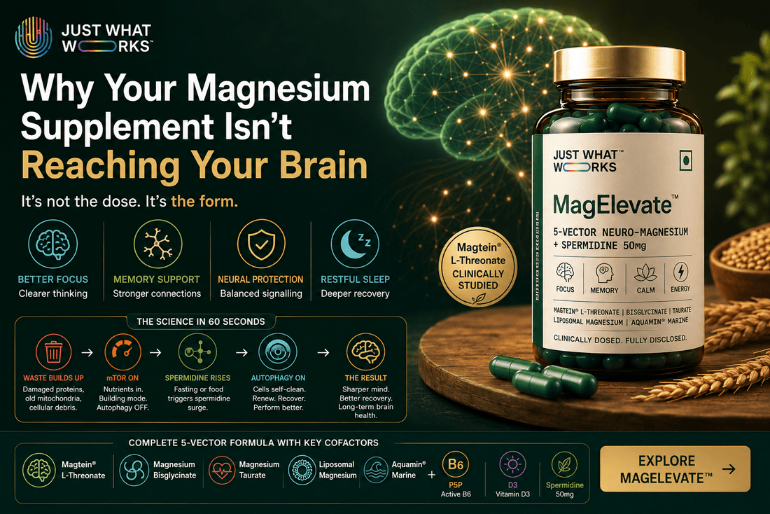 Why Your Magnesium Supplement Isn't Reaching Your Brain - Just What Works™