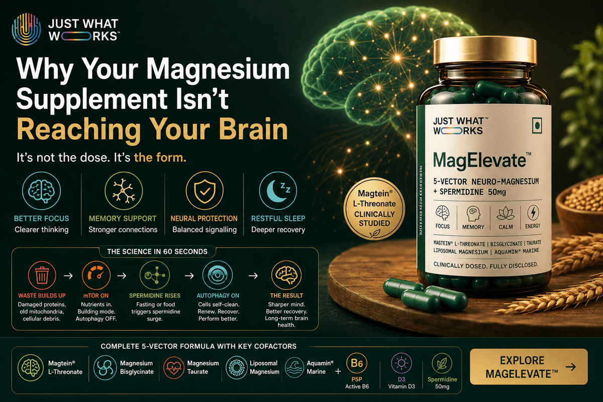 Why Your Magnesium Supplement Isn't Reaching Your Brain - Just What Works™