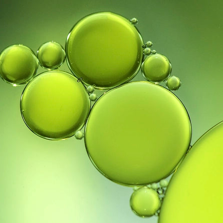 Green bubbles floating on a green background