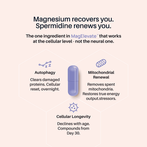 MagElevate™ - Magnesium for Mind, Body & Sleep - Just What Works™