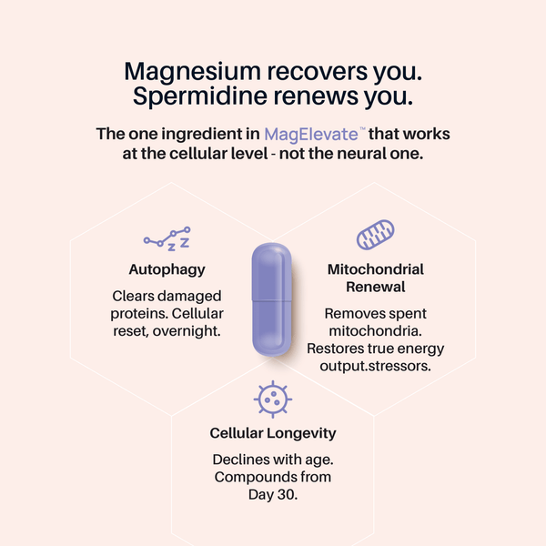 MagElevate™ - Magnesium for Mind, Body & Sleep - Just What Works™